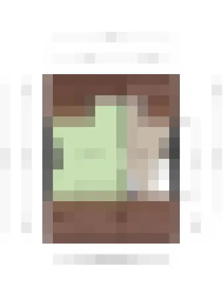 Begoniastraat 18 Ridderkerk thumbnail 36