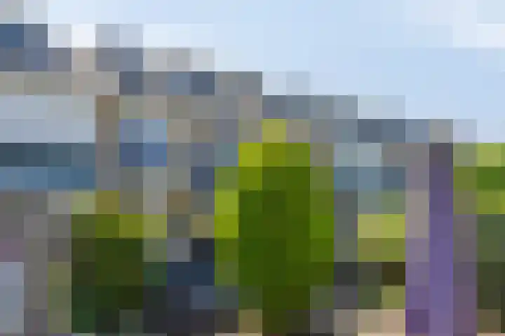 Begoniastraat 18 Ridderkerk thumbnail 38