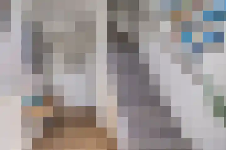 Begoniastraat 18 Ridderkerk thumbnail 4