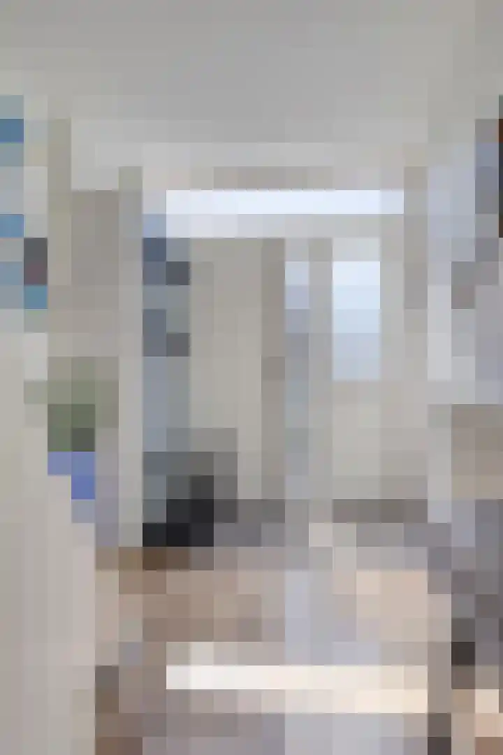 Begoniastraat 18 Ridderkerk thumbnail 5