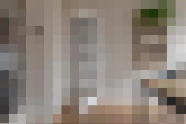 Begoniastraat 18 Zwolle thumbnail 10