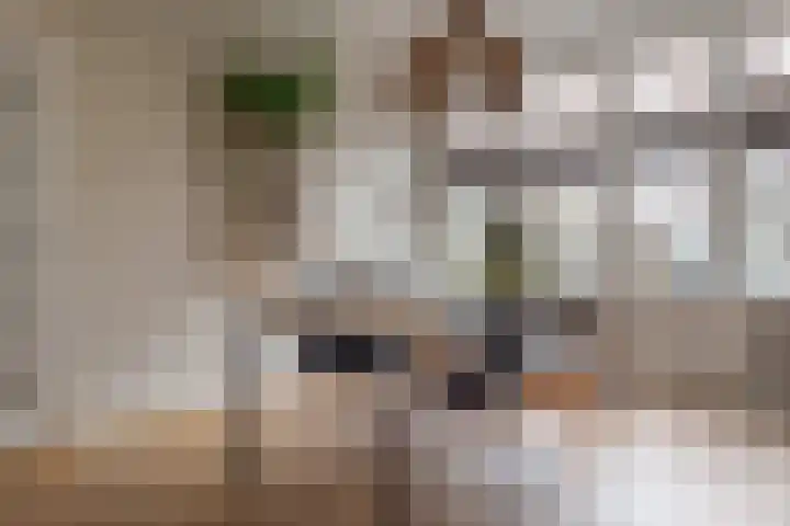 Begoniastraat 18 Zwolle thumbnail 11