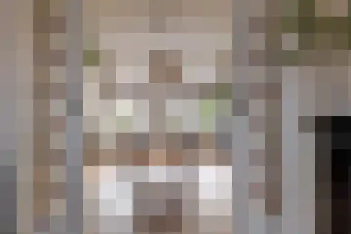 Begoniastraat 18 Zwolle thumbnail 12