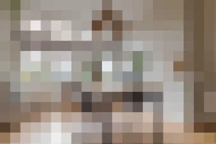 Begoniastraat 18 Zwolle thumbnail 13