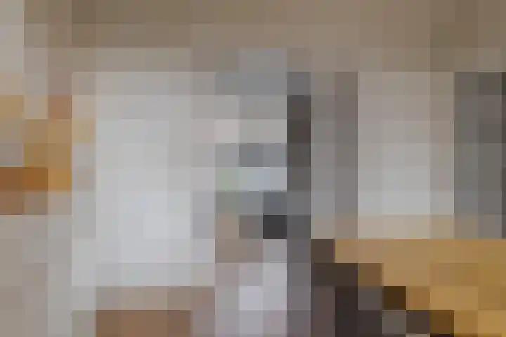 Begoniastraat 18 Zwolle thumbnail 15