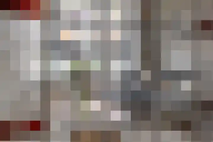 Begoniastraat 18 Zwolle thumbnail 16