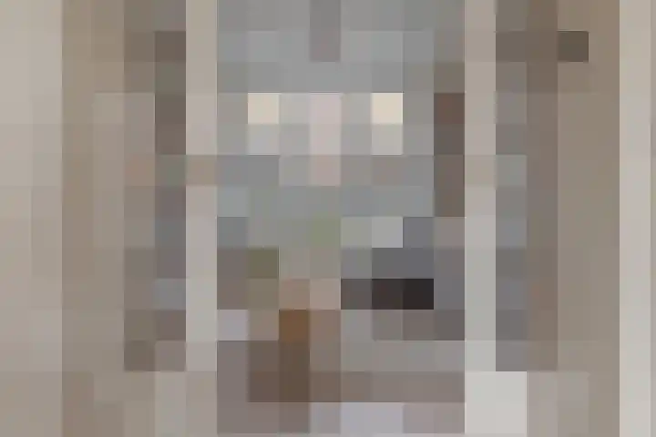 Begoniastraat 18 Zwolle thumbnail 17