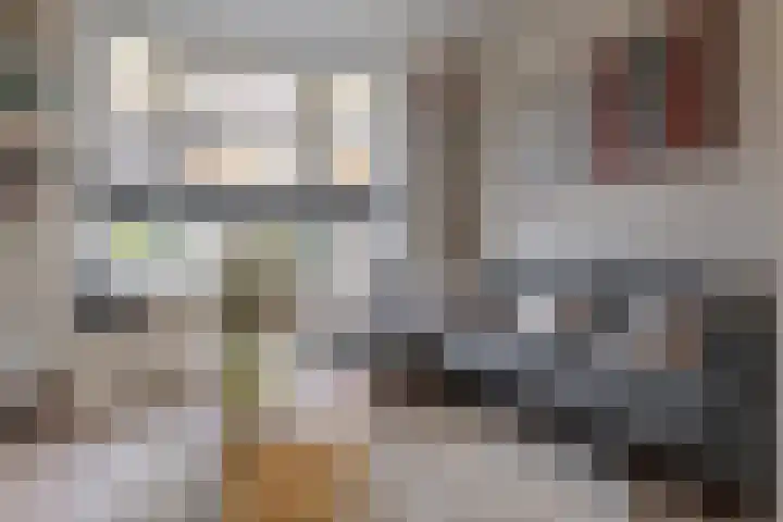 Begoniastraat 18 Zwolle thumbnail 19