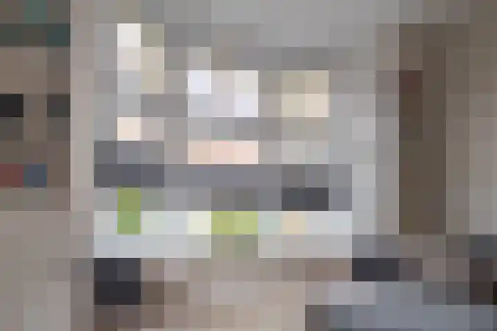 Begoniastraat 18 Zwolle thumbnail 20