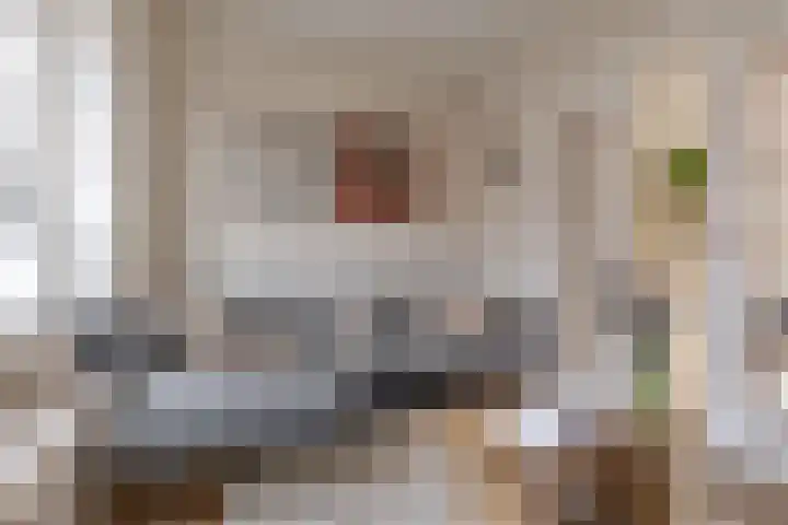 Begoniastraat 18 Zwolle thumbnail 21