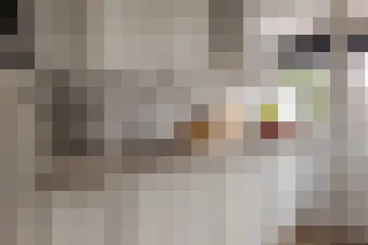 Begoniastraat 18 Zwolle thumbnail 23