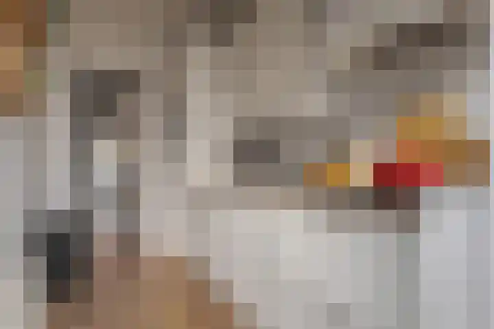 Begoniastraat 18 Zwolle thumbnail 24