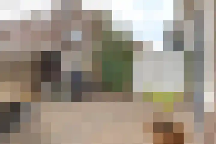 Begoniastraat 18 Zwolle thumbnail 28