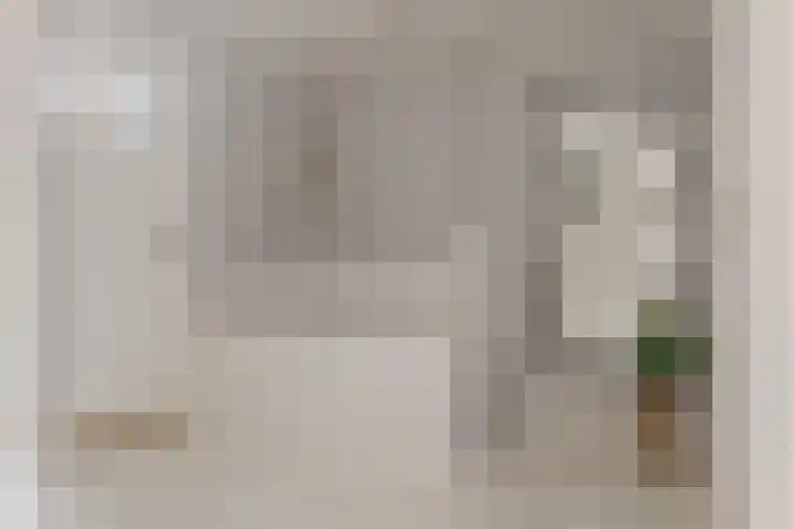 Begoniastraat 18 Zwolle thumbnail 31