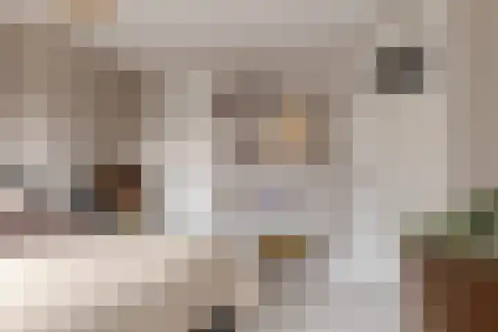Begoniastraat 18 Zwolle thumbnail 35