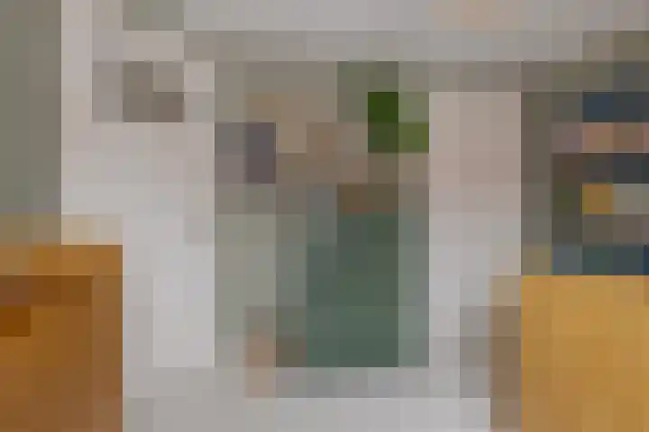 Begoniastraat 18 Zwolle thumbnail 38