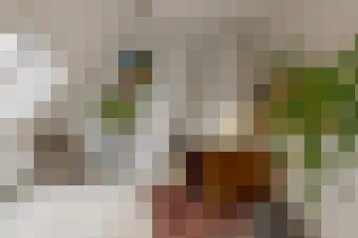 Begoniastraat 18 Zwolle thumbnail 45