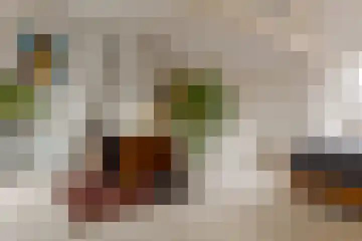Begoniastraat 18 Zwolle thumbnail 47