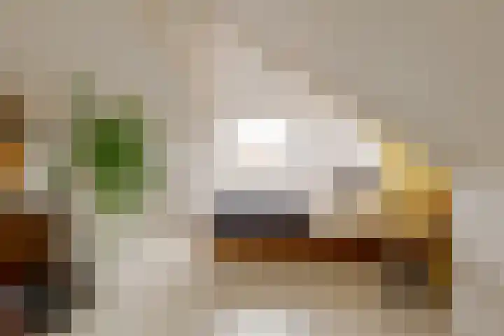 Begoniastraat 18 Zwolle thumbnail 48