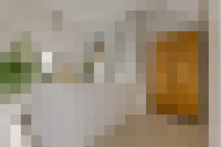 Begoniastraat 18 Zwolle thumbnail 49