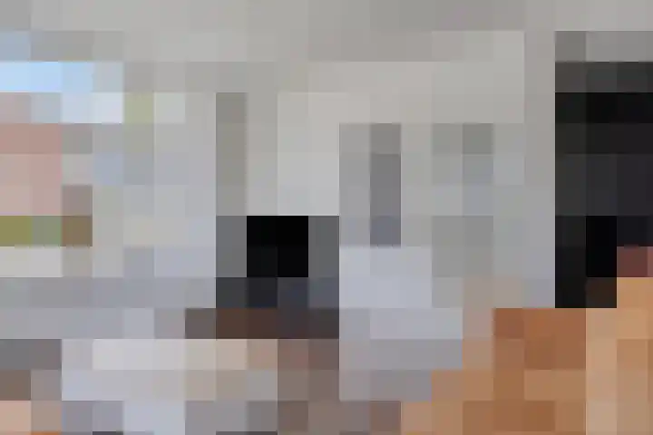 Begoniastraat 19 Doesburg thumbnail 12
