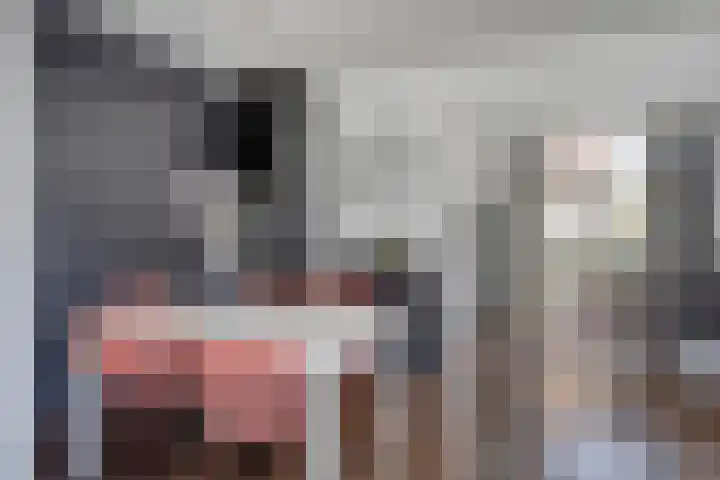 Begoniastraat 19 Doesburg thumbnail 15