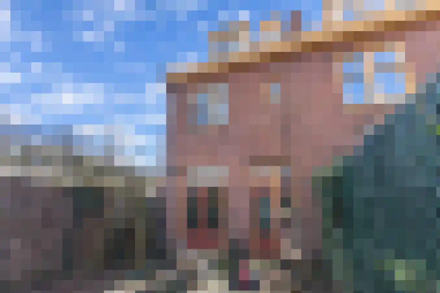 Begoniastraat 2 Amsterdam thumbnail 15