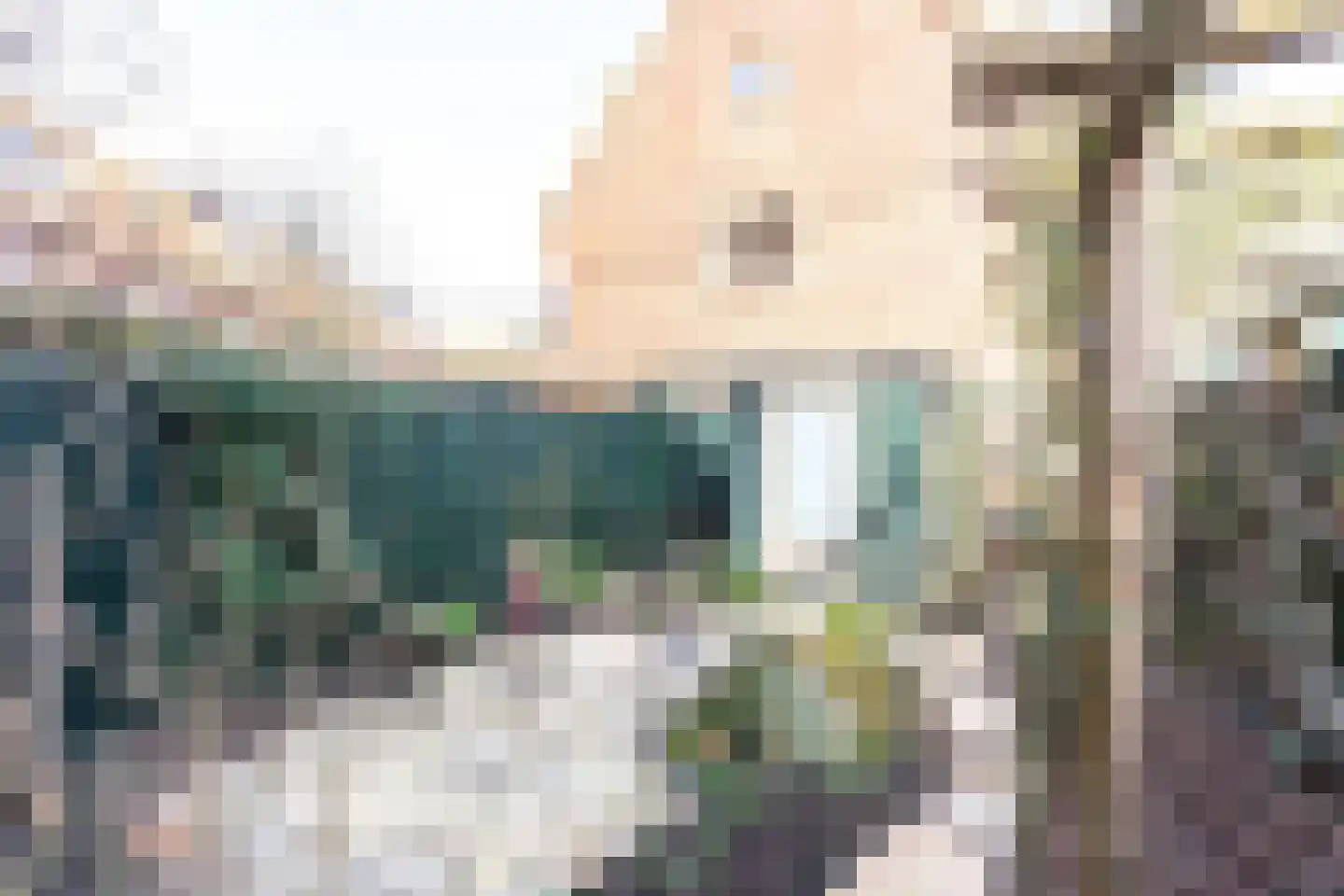Begoniastraat 2 Amsterdam thumbnail 17