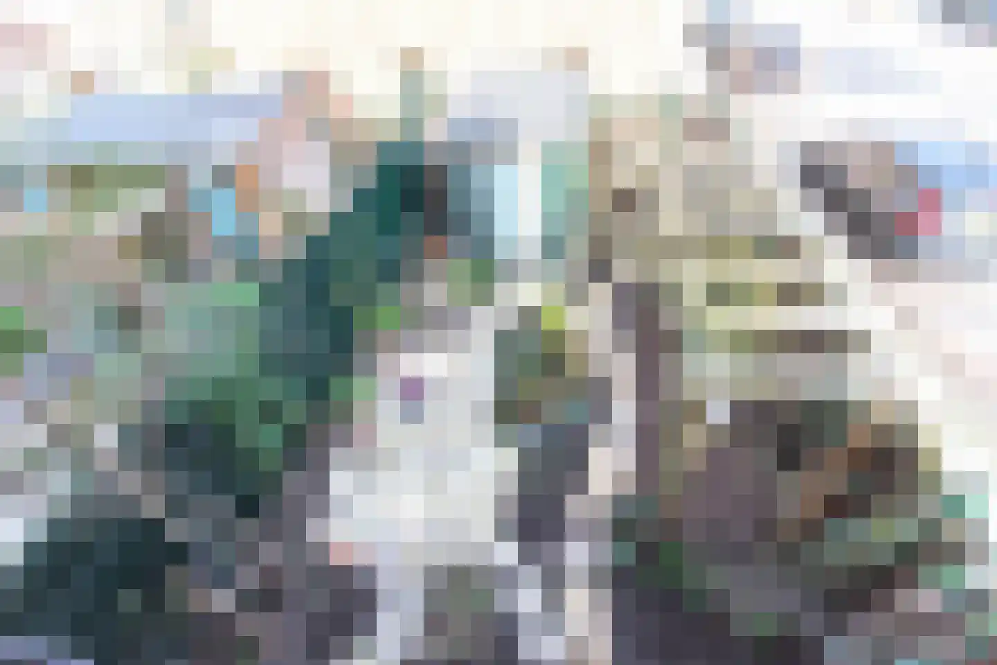 Begoniastraat 2 Amsterdam thumbnail 18