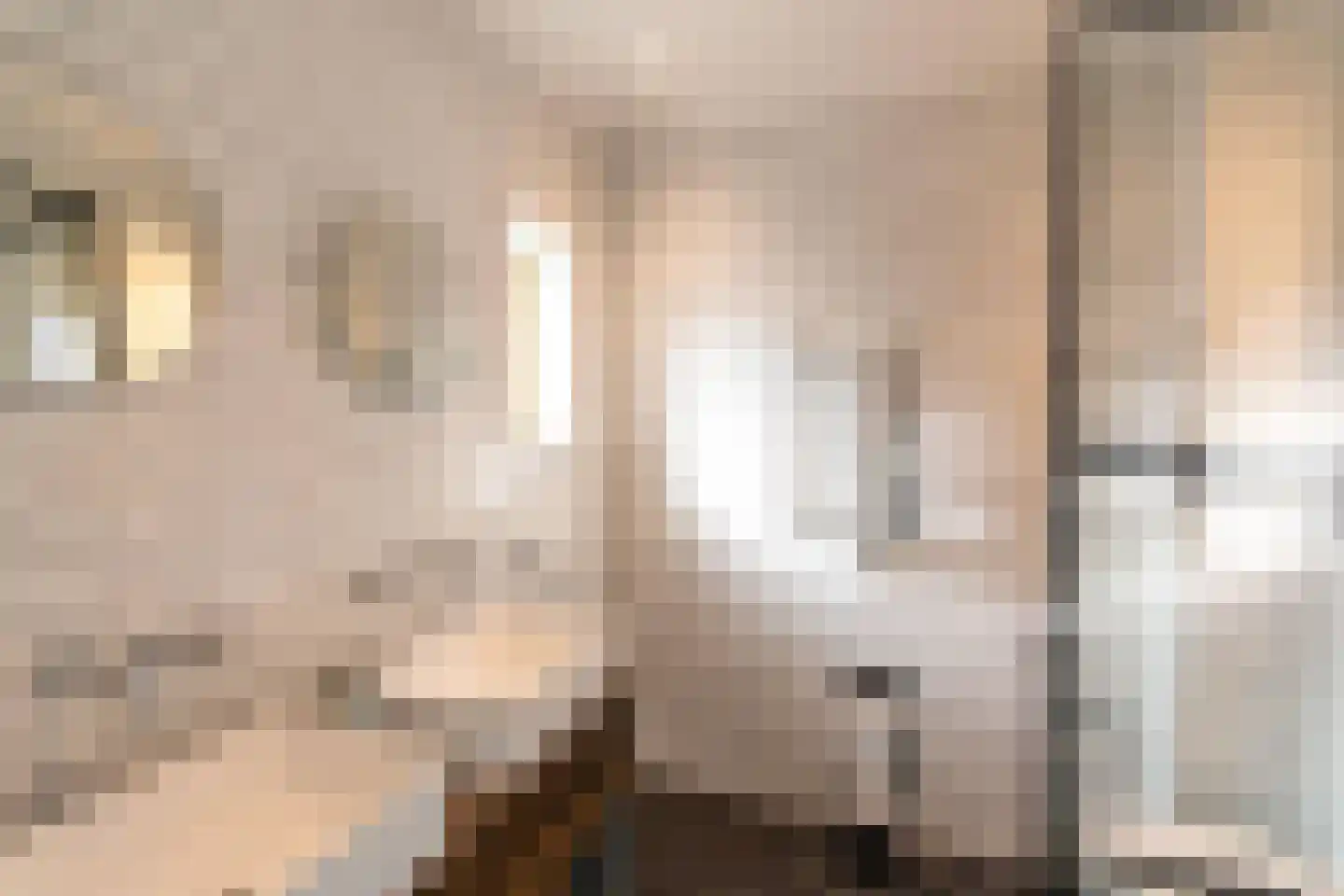 Begoniastraat 2 Amsterdam thumbnail 25