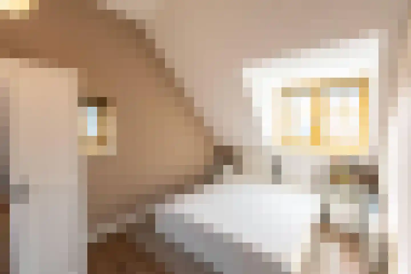 Begoniastraat 2 Amsterdam thumbnail 30