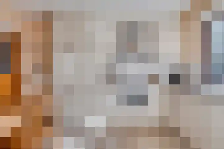 Begoniastraat 2 Bergen op Zoom thumbnail 12