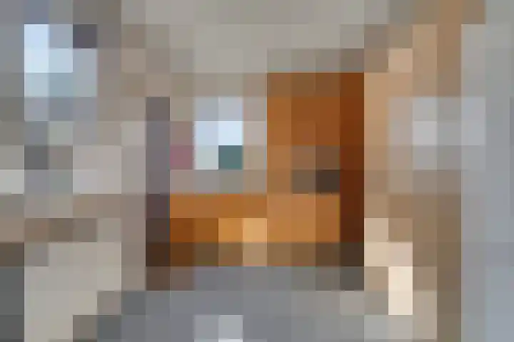 Begoniastraat 2 Bergen op Zoom thumbnail 13