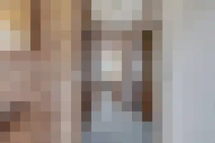 Begoniastraat 2 Bergen op Zoom thumbnail 15