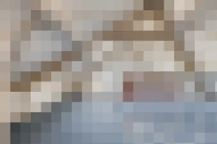 Begoniastraat 2 Bergen op Zoom thumbnail 30