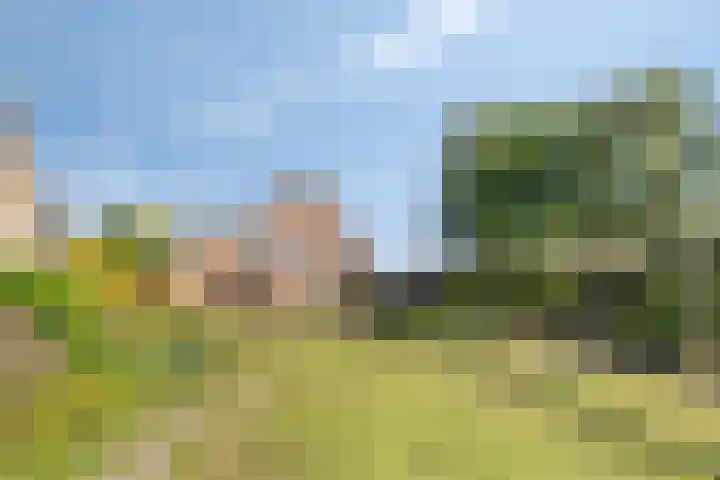 Begoniastraat 2 Bergen op Zoom thumbnail 31