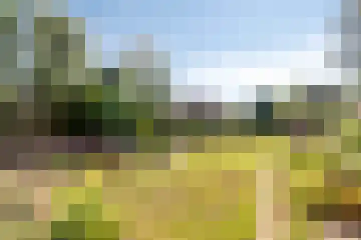 Begoniastraat 2 Bergen op Zoom thumbnail 32