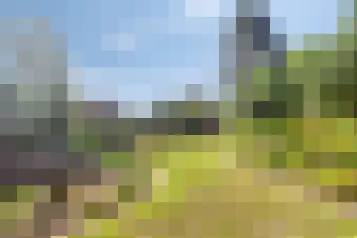 Begoniastraat 2 Bergen op Zoom thumbnail 33