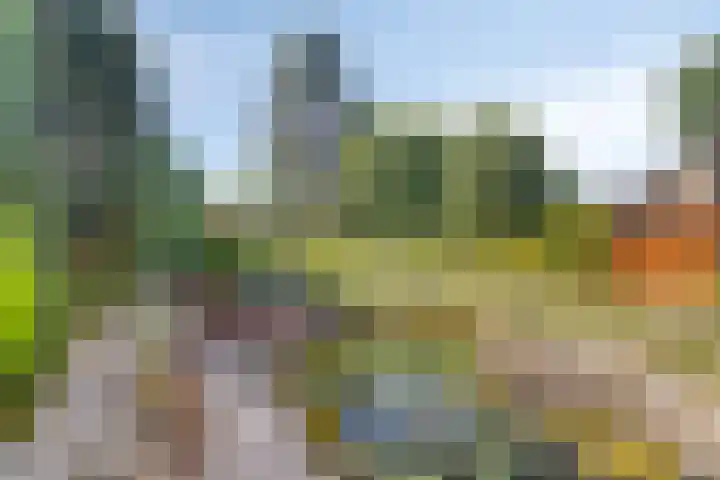 Begoniastraat 2 Bergen op Zoom thumbnail 37