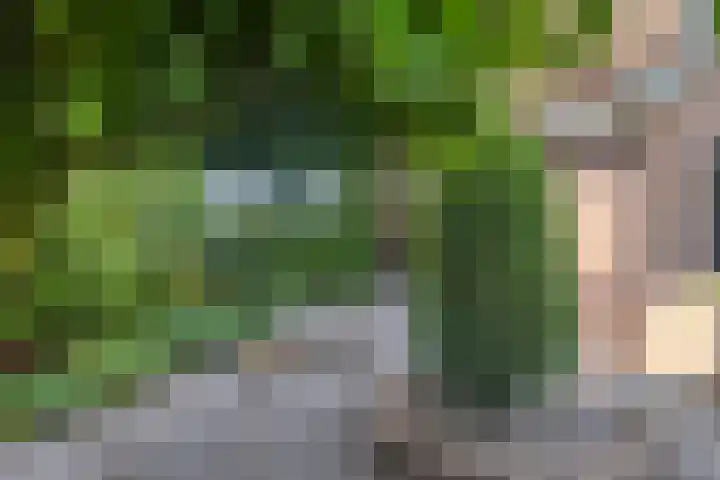 Begoniastraat 2 Bergen op Zoom thumbnail 38