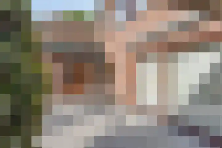 Begoniastraat 2 Bergen op Zoom thumbnail 41