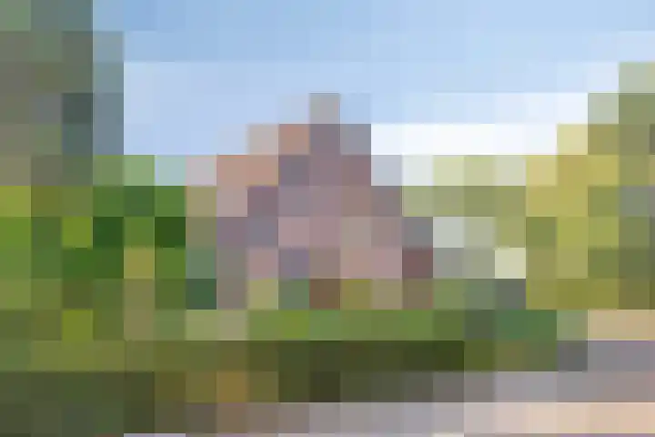 Begoniastraat 2 Bergen op Zoom thumbnail 45