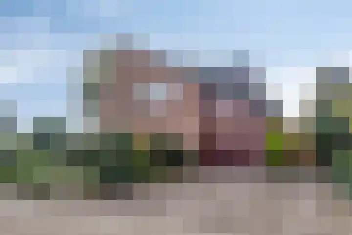 Begoniastraat 2 Bergen op Zoom thumbnail 46