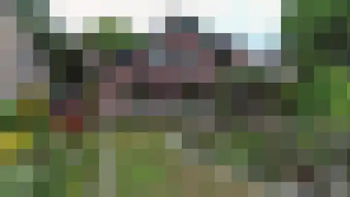Begoniastraat 2 Bergen op Zoom thumbnail 47