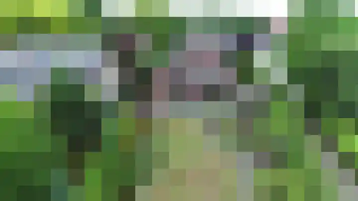 Begoniastraat 2 Bergen op Zoom thumbnail 48