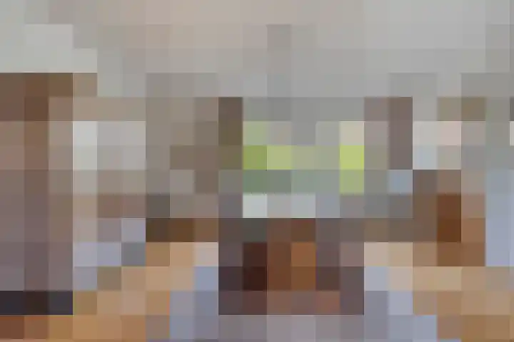 Begoniastraat 2 Bergen op Zoom thumbnail 5