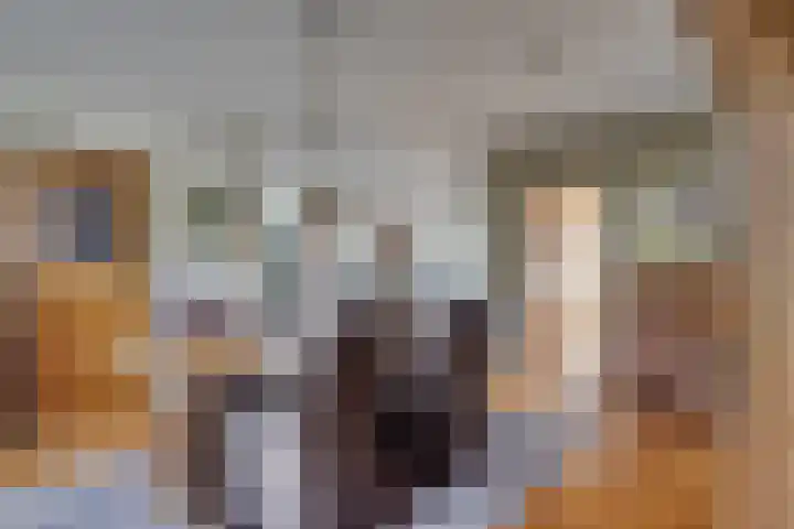 Begoniastraat 2 Bergen op Zoom thumbnail 8
