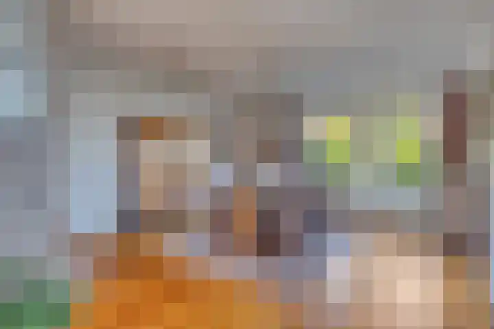 Begoniastraat 2 Bergen op Zoom thumbnail 9
