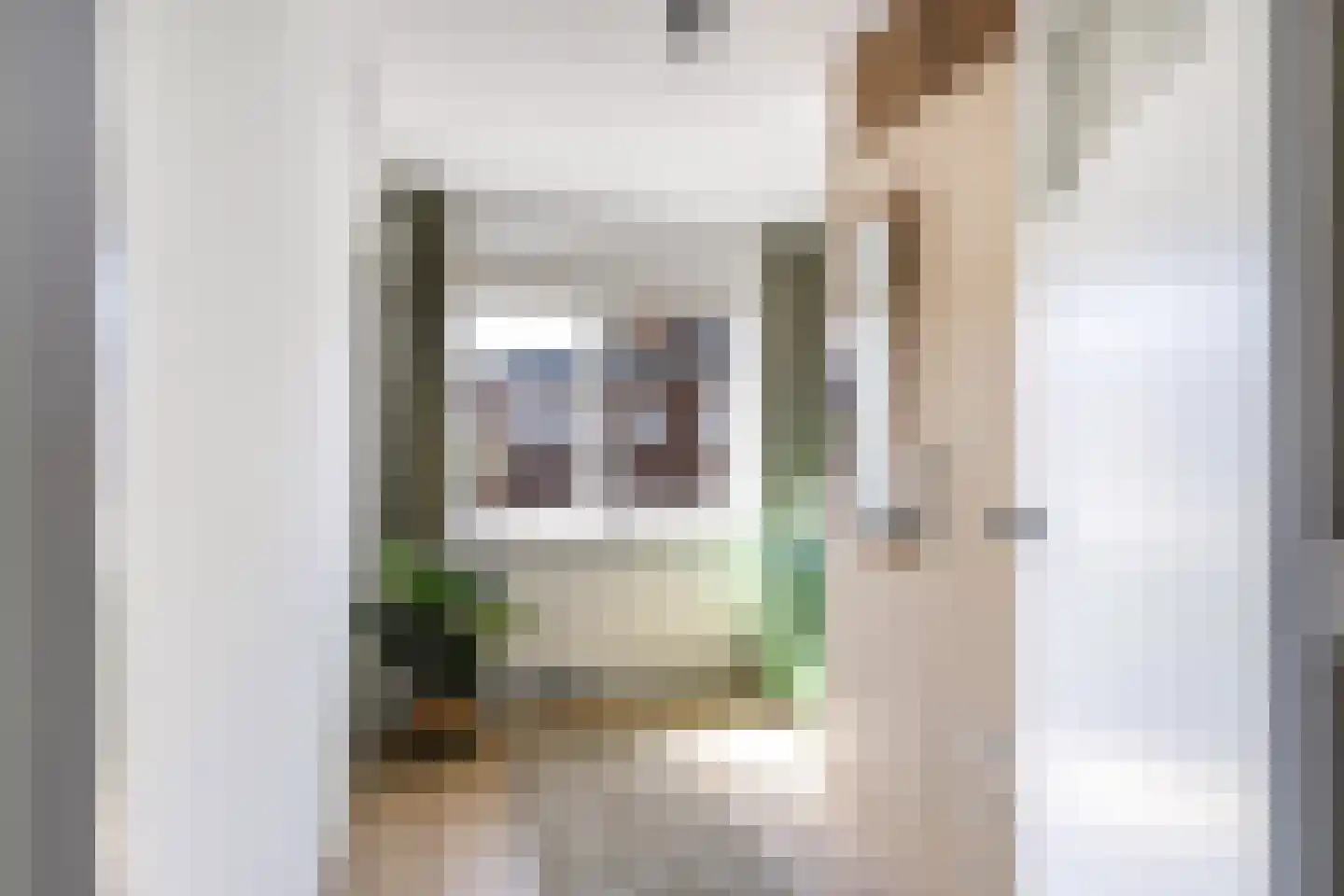 Begoniastraat 2 Hilversum thumbnail 23