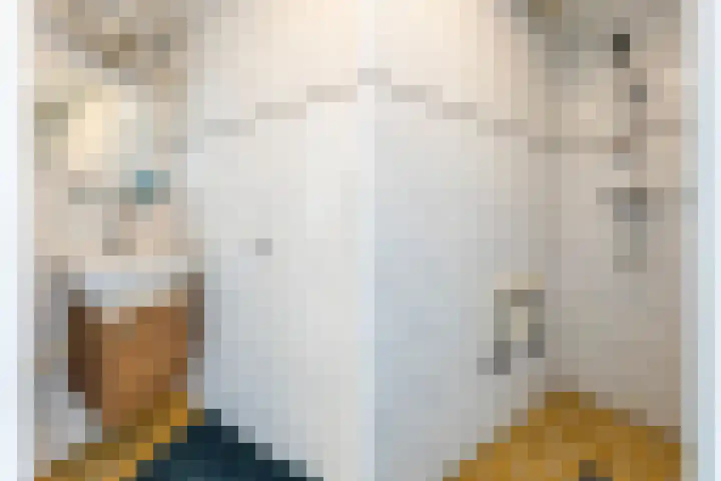Begoniastraat 2 Hilversum thumbnail 25